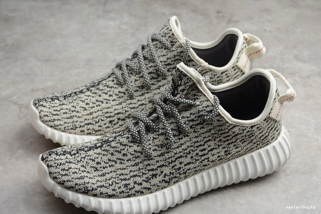 AQ4832 Boost Adidas YEEZY Dove 350 Turtle 0821
